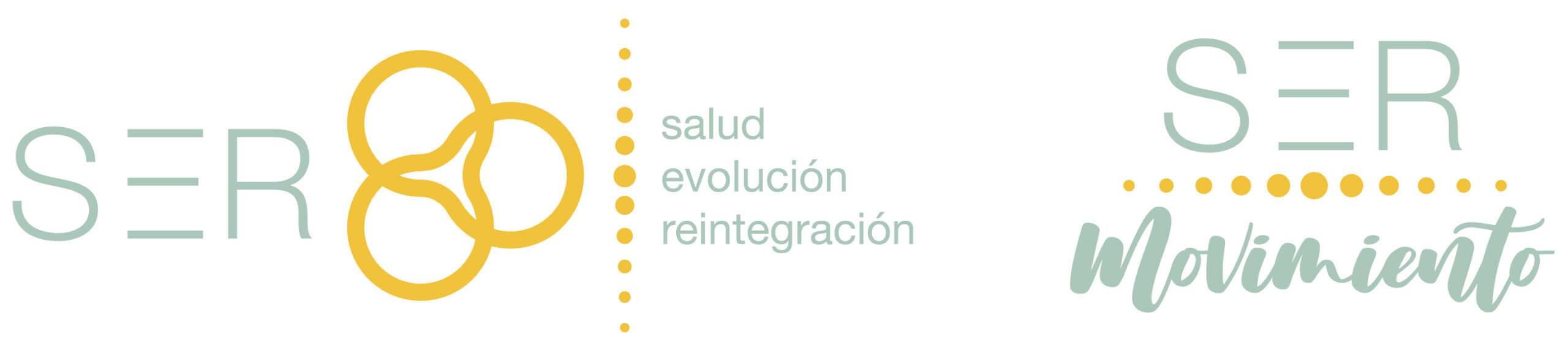 SER salud / evolución / reintegración